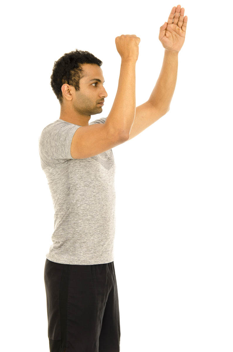 Shoulder Flexion Isometric 3 With Elbow Bend Vissco Healthcare Private Limited